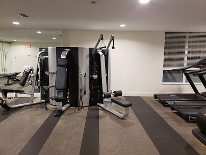 Gym 3